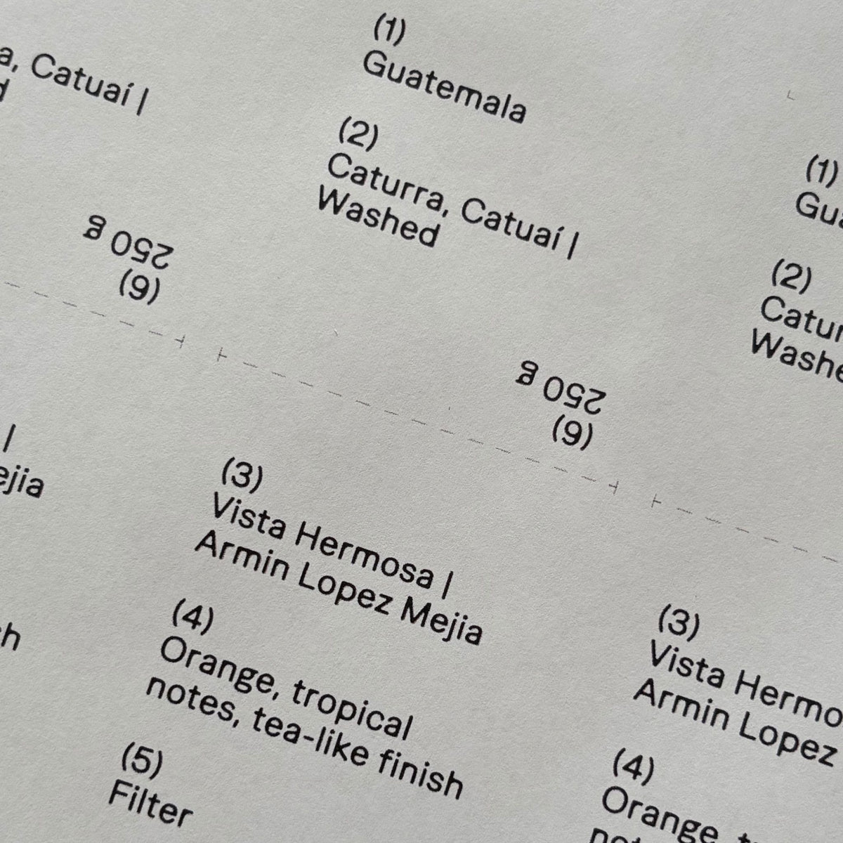 Detailed label, tasting notes card for Interpret's Guatemalan Vista Hermosa coffee: Orange, tropical notes, tea-like finish.