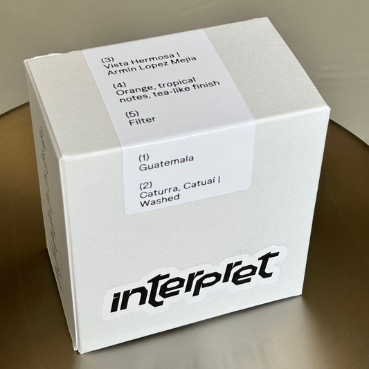 Interpret coffee box of Guatemalan specialty coffee, Vista Hermosa, filter roast.